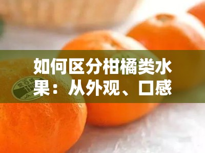 如何区分柑橘类水果：从外观、口感与常见品种入手的三步辨别法