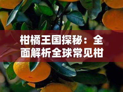 柑橘王国探秘：全面解析全球常见柑橘各种品种简介及其独特风味