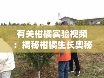 有关柑橘实验视频：揭秘柑橘生长奥秘的10个趣味科学实验全解析