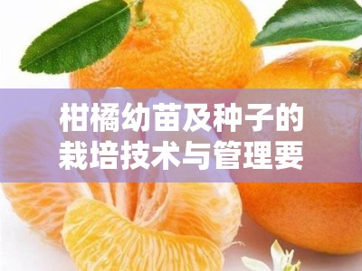 柑橘幼苗及种子的栽培技术与管理要点解析