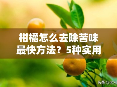 柑橘怎么去除苦味最快方法？5种实用技巧轻松解决苦味难题