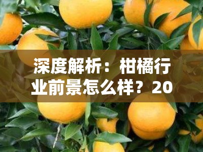深度解析：柑橘行业前景怎么样？2023年市场趋势与未来发展展望
