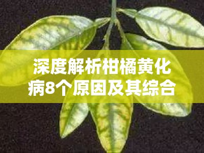 深度解析柑橘黄化病8个原因及其综合防治对策