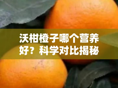 沃柑橙子哪个营养好？科学对比揭秘柑橘类水果营养大比拼