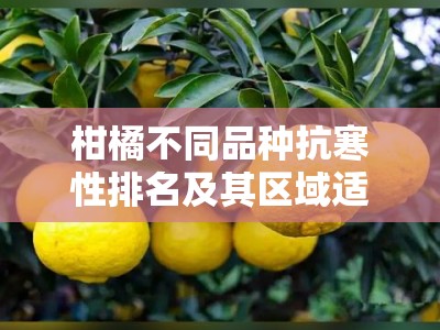 柑橘不同品种抗寒性排名及其区域适应性研究分析