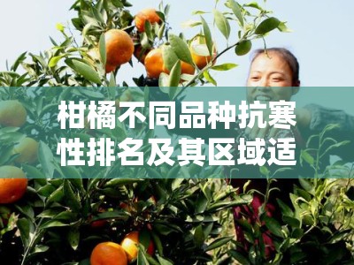 柑橘不同品种抗寒性排名及其区域适应性研究分析