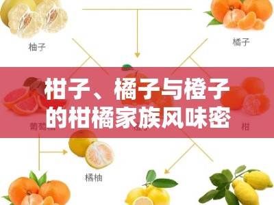 柑子、橘子与橙子的柑橘家族风味密码探秘
