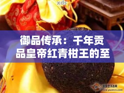 御品传承：千年贡品皇帝红青柑王的至尊茶韵与宫廷秘制工艺解析