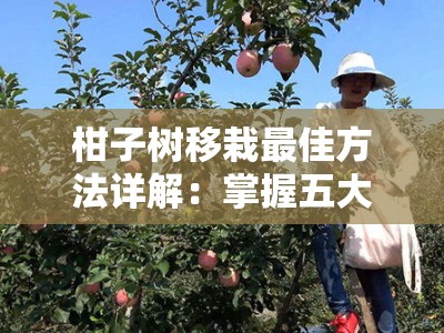 柑子树移栽最佳方法详解：掌握五大技巧确保存活率翻倍