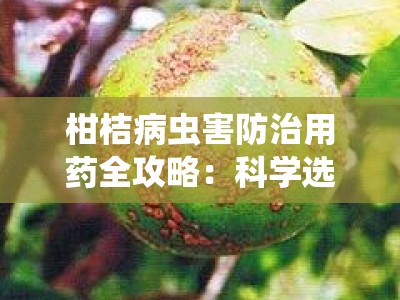 柑桔病虫害防治用药全攻略：科学选择与高效施用指南