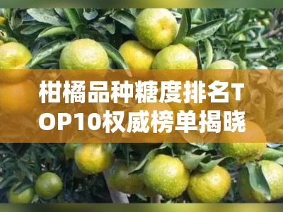 柑橘品种糖度排名TOP10权威榜单揭晓及选购指南