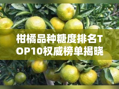 柑橘品种糖度排名TOP10权威榜单揭晓及选购指南