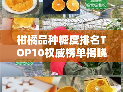 柑橘品种糖度排名TOP10权威榜单揭晓及选购指南