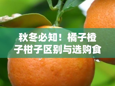 秋冬必知！橘子橙子柑子区别与选购食用指南全解析