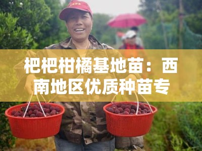 杷杷柑橘基地苗：西南地区优质种苗专业培育与高效种植示范基地