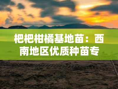 杷杷柑橘基地苗：西南地区优质种苗专业培育与高效种植示范基地