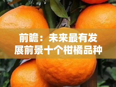 前瞻：未来最有发展前景十个柑橘品种的品种优势与市场趋势分析