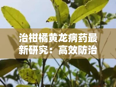 治柑橘黄龙病药最新研究：高效防治技术与科学用药指南