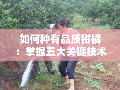 如何种有品质柑橘：掌握五大关键技术实现高产高质