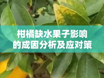 柑橘缺水果子影响的成因分析及应对策略研究