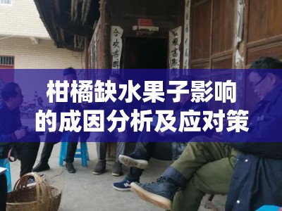 柑橘缺水果子影响的成因分析及应对策略研究