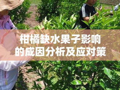 柑橘缺水果子影响的成因分析及应对策略研究