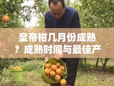 皇帝柑几月份成熟？成熟时间与最佳产地种植指南