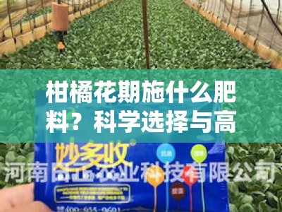 柑橘花期施什么肥料？科学选择与高效施用方法解析