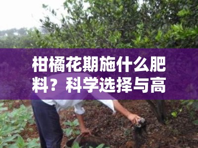 柑橘花期施什么肥料？科学选择与高效施用方法解析
