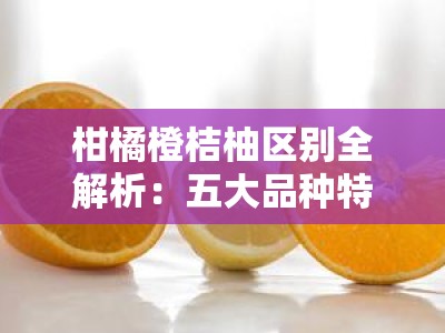 柑橘橙桔柚区别全解析：五大品种特征与辨识方法详解