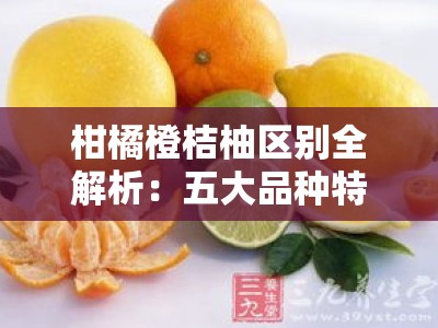 柑橘橙桔柚区别全解析：五大品种特征与辨识方法详解