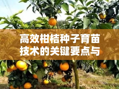 高效柑桔种子育苗技术的关键要点与实践应用