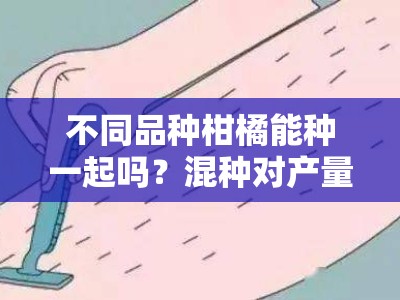 不同品种柑橘能种一起吗？混种对产量与管理的影响解析