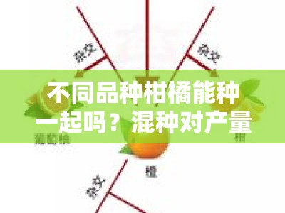 不同品种柑橘能种一起吗？混种对产量与管理的影响解析
