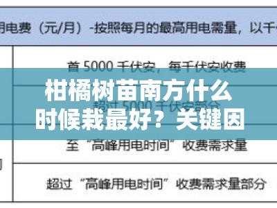 柑橘树苗南方什么时候栽最好？关键因素与最佳栽培时机解析