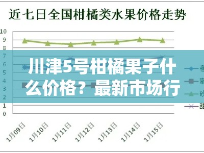 川津5号柑橘果子什么价格？最新市场行情走势深度解析