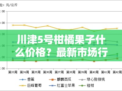 川津5号柑橘果子什么价格？最新市场行情走势深度解析