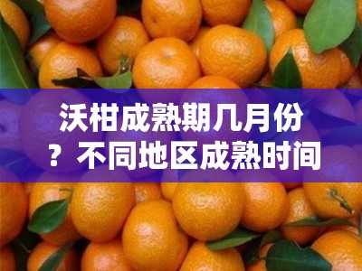 沃柑成熟期几月份？不同地区成熟时间与判断方法解析