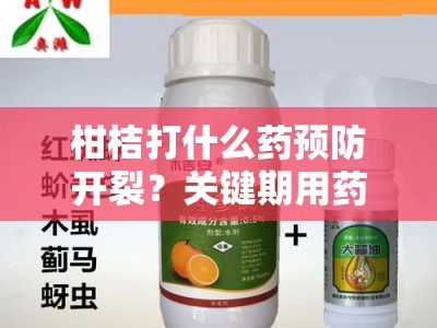 柑桔打什么药预防开裂？关键期用药指南与科学防治方案解析