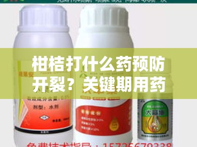 柑桔打什么药预防开裂？关键期用药指南与科学防治方案解析
