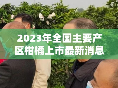 2023年全国主要产区柑橘上市最新消息及市场动态分析