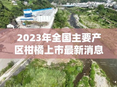 2023年全国主要产区柑橘上市最新消息及市场动态分析