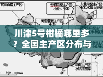 川津5号柑橘哪里多？全国主产区分布与优质产地大解析