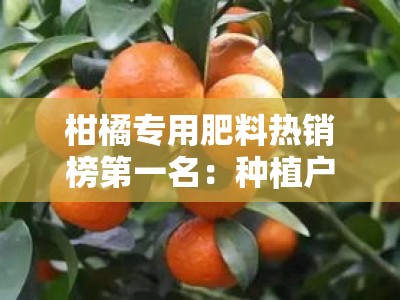 柑橘专用肥料热销榜第一名：种植户首选的高效增产配方持续领跑市场