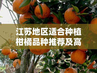 江苏地区适合种植柑橘品种推荐及高效栽培技术指南