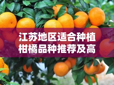 江苏地区适合种植柑橘品种推荐及高效栽培技术指南