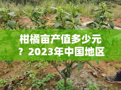 柑橘亩产值多少元？2023年中国地区种植收益与市场前景分析