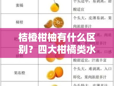 桔橙柑柚有什么区别？四大柑橘类水果特征与区分方法详解