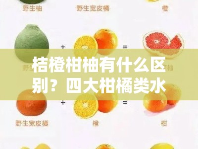 桔橙柑柚有什么区别？四大柑橘类水果特征与区分方法详解