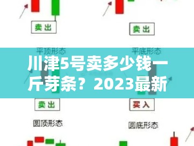 川津5号卖多少钱一斤芽条？2023最新市场价格行情速递